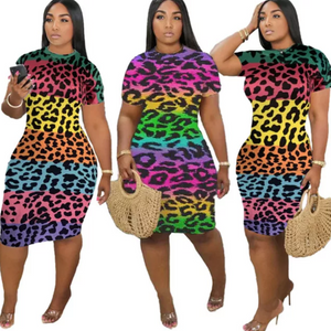 women's leopard print rainbow dress multiple views